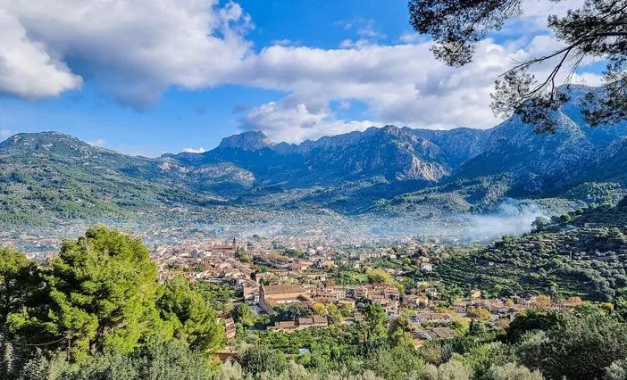 Soller