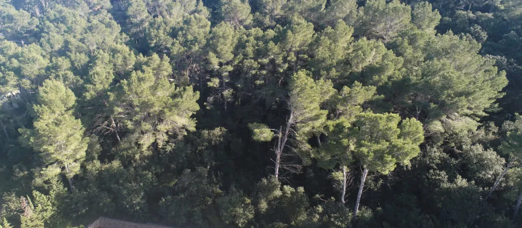 Großartiges Projekt zum Bau einer herrlichen Villa in Gotmar, Puerto de Pollensa