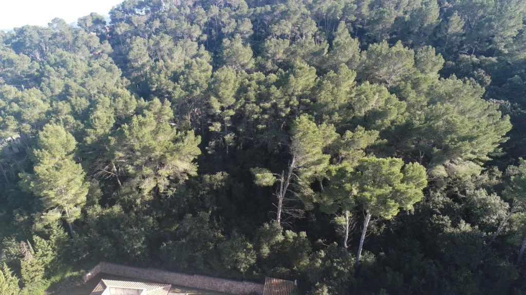 Great project to build a magnificent villa in Gotmar, Puerto de Pollensa