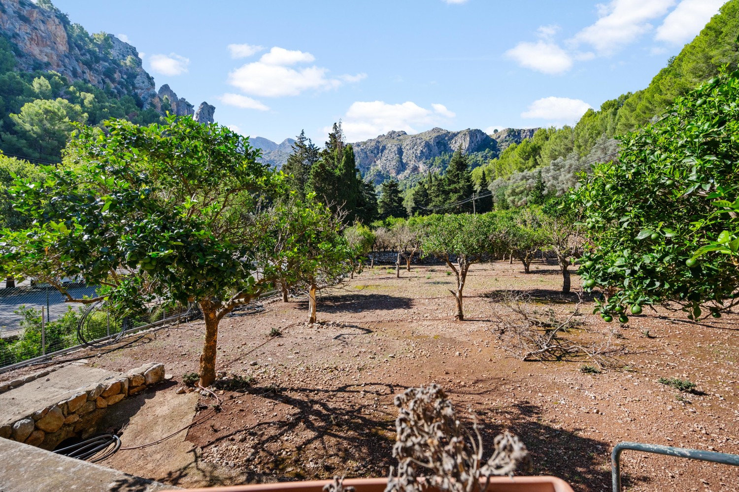 Restaurant-mit-Wohnung-in-Sa-Calobra