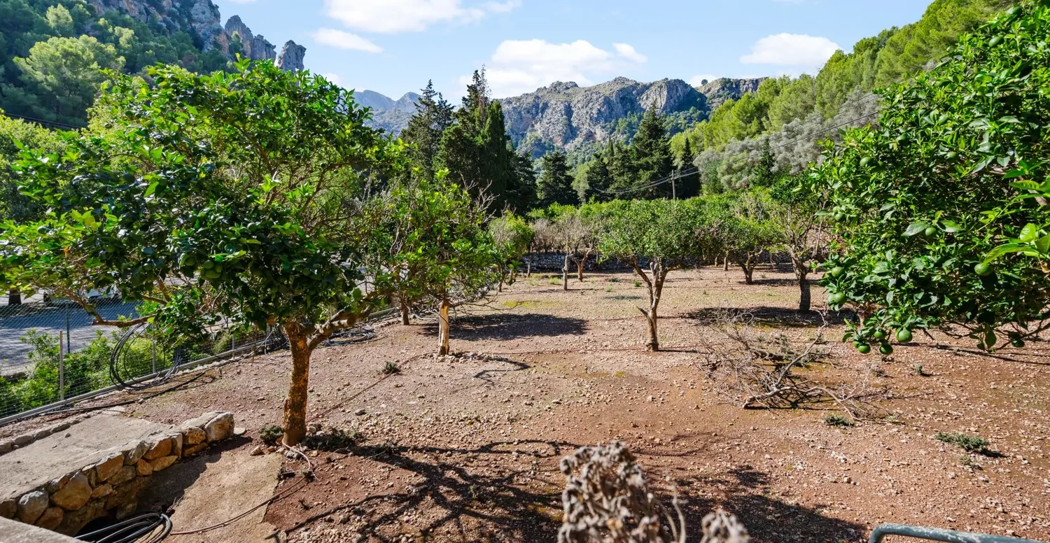 Restaurant-mit-Wohnung-in-Sa-Calobra