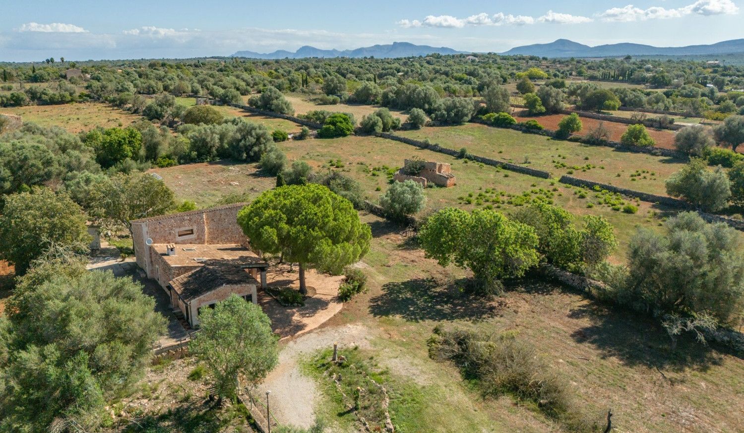 Santa-Margalida-Can-Pastora-Finca