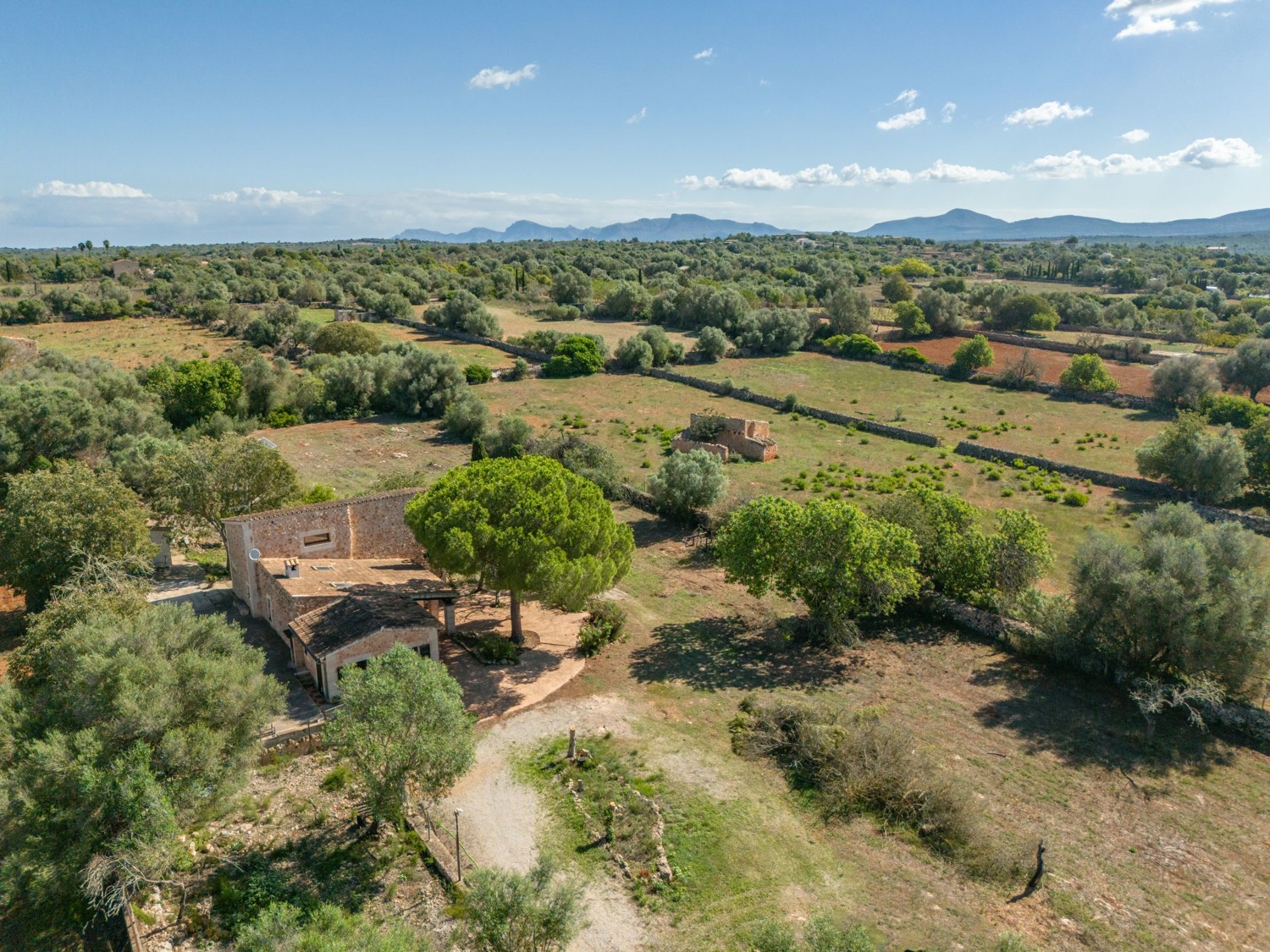 Santa-Margalida-Can-Pastora-Finca