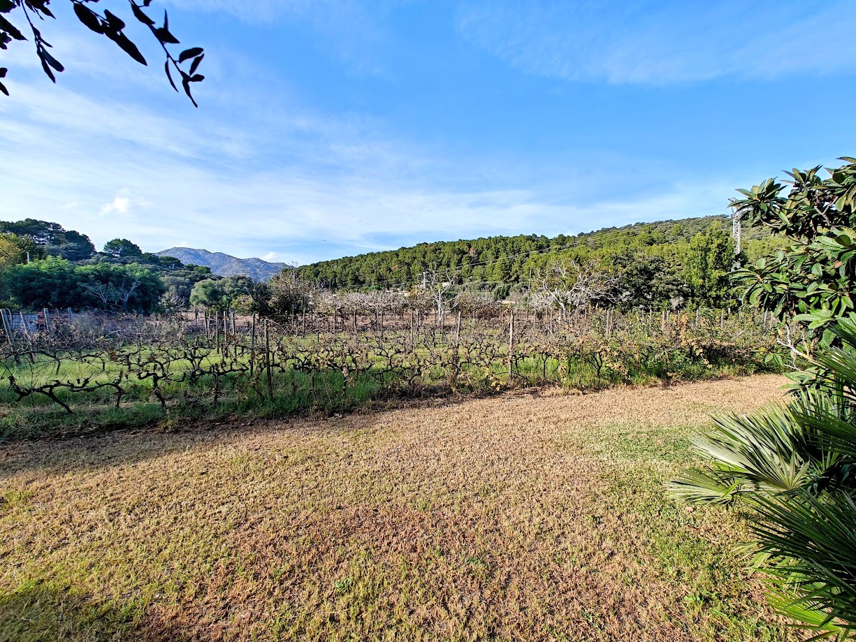 Finca-in-Pollensa