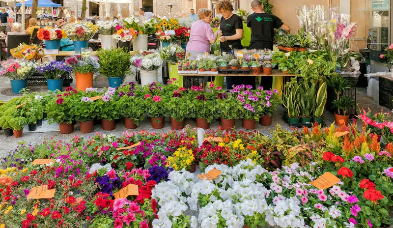 Haus-mit-Projekt-in-Pollensa