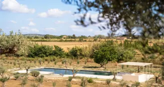 von_poll_real_estate_property_ES255087_image_2