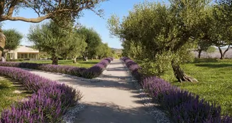 von_poll_real_estate_property_ES255087_image_43