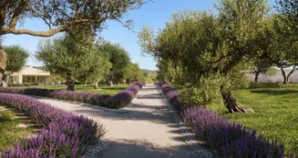 von_poll_real_estate_property_ES255087_image_43