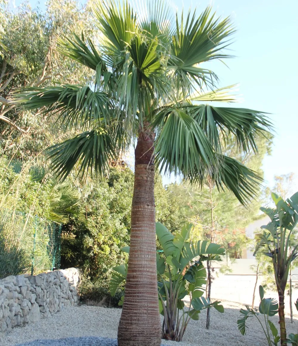 Villa-mit-exklusiven-Blick-in-Bonaire