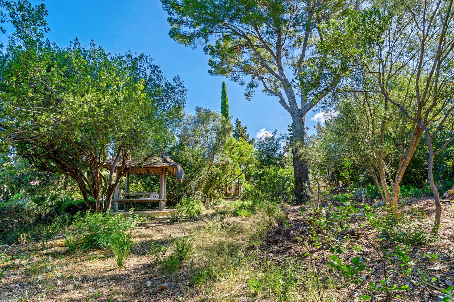 Villa-mit-Pool-und-Meerblick-in-Bonaire