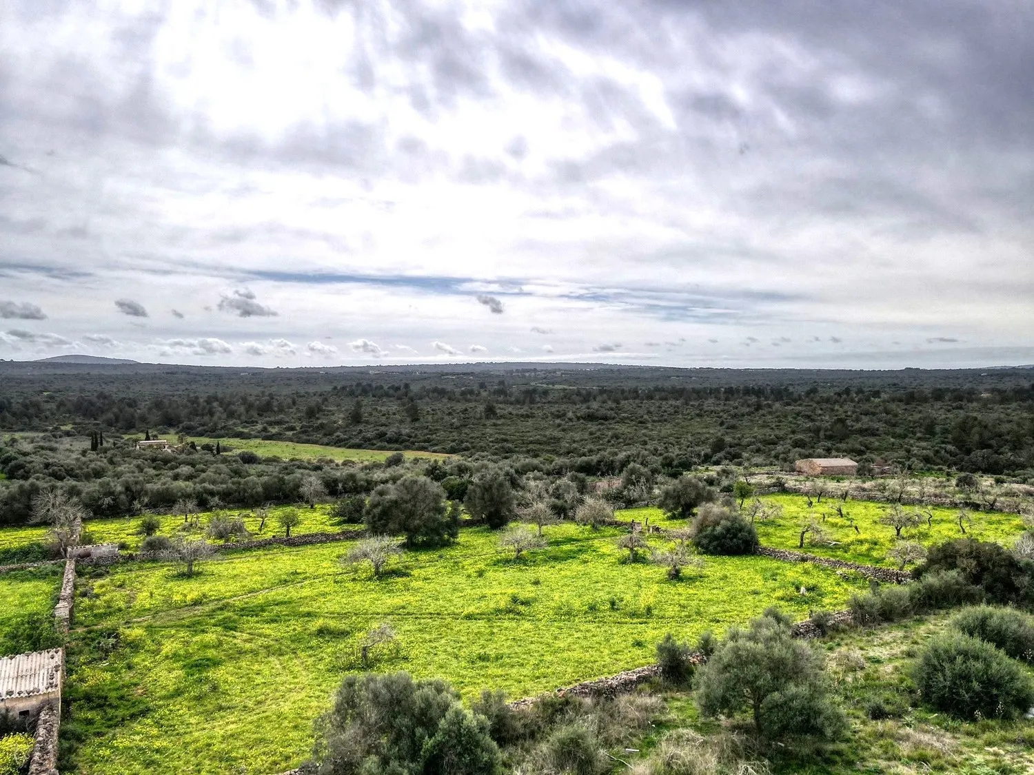 Plot-with-project-license-in-Santa-Margalida
