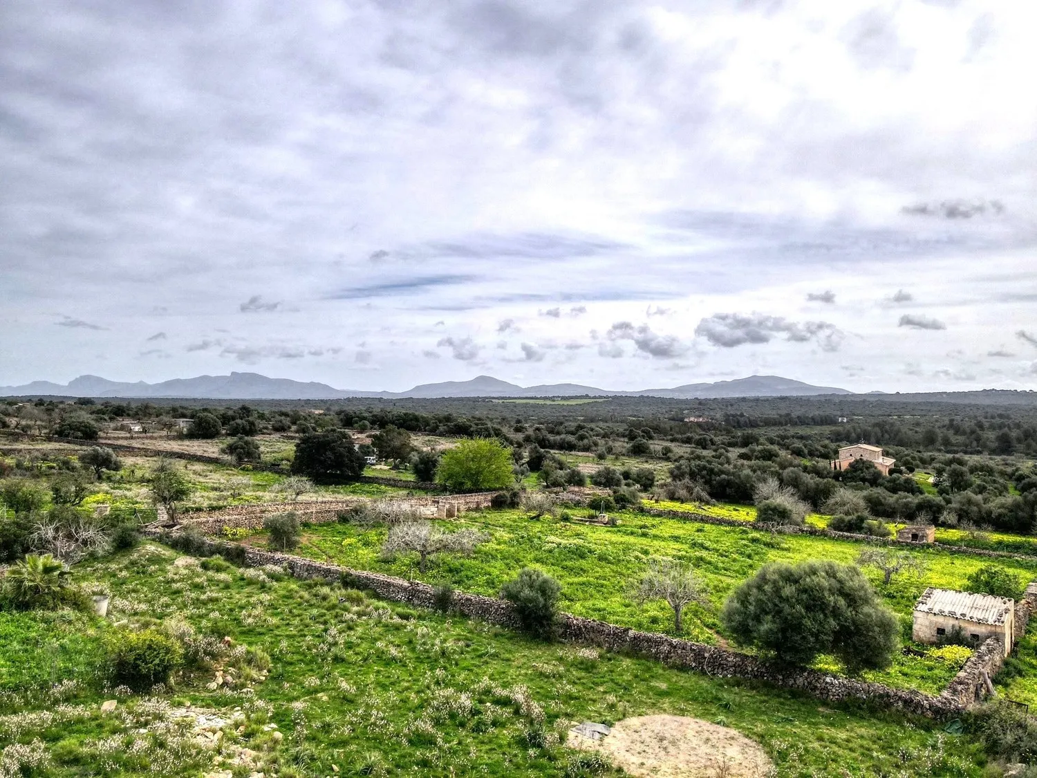 Plot-with-project-license-in-Santa-Margalida