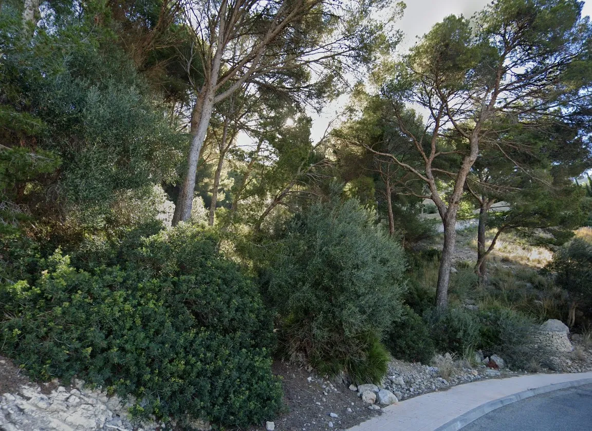 Property Image