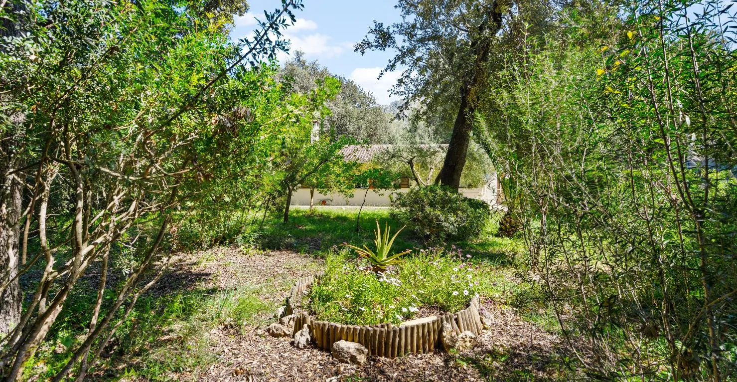 Schöne-Finca-mit-Pool-in-Crestatx