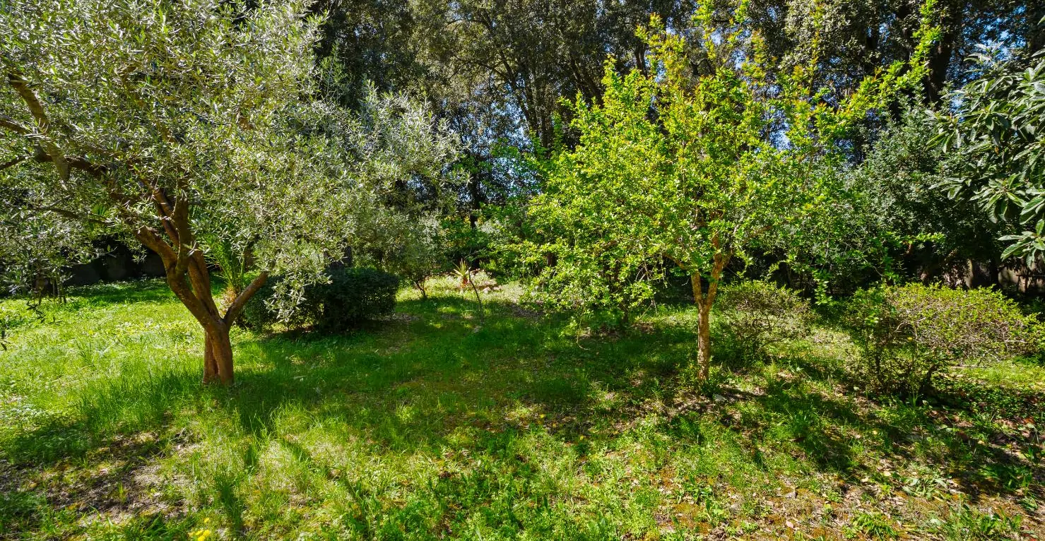 Schöne-Finca-mit-Pool-in-Crestatx