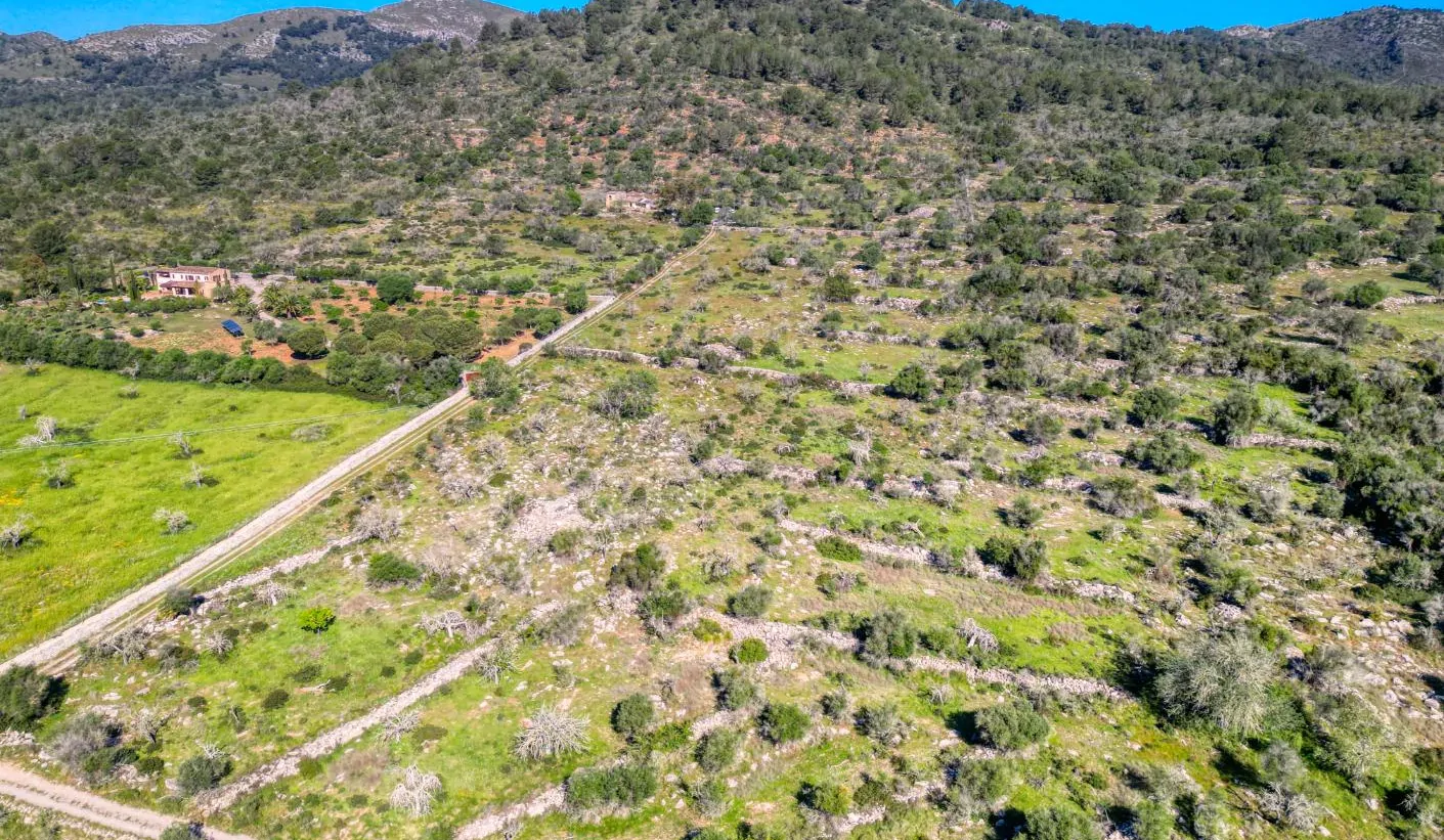 Grundstück-mit-Haus-in-Arta