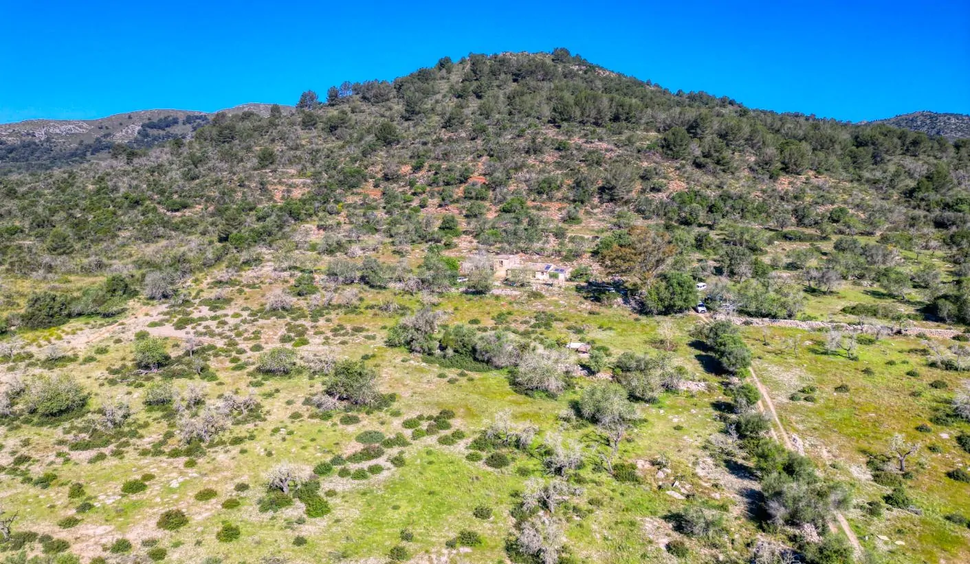 Grundstück-mit-Haus-in-Arta