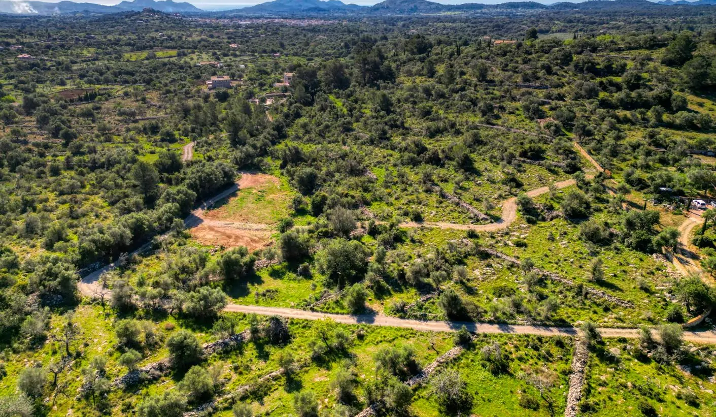 Grundstück-mit-Haus-in-Arta