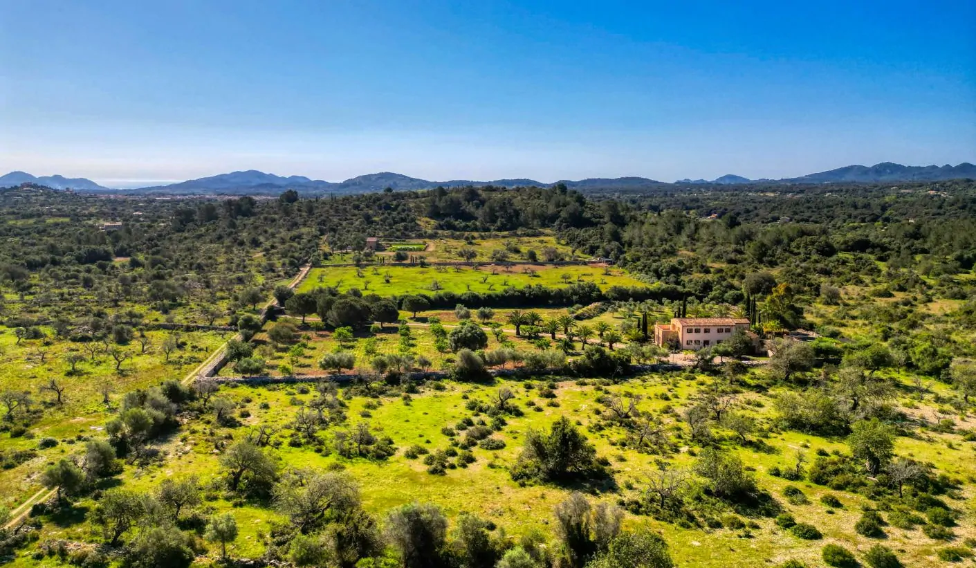 Grundstück-mit-Haus-in-Arta