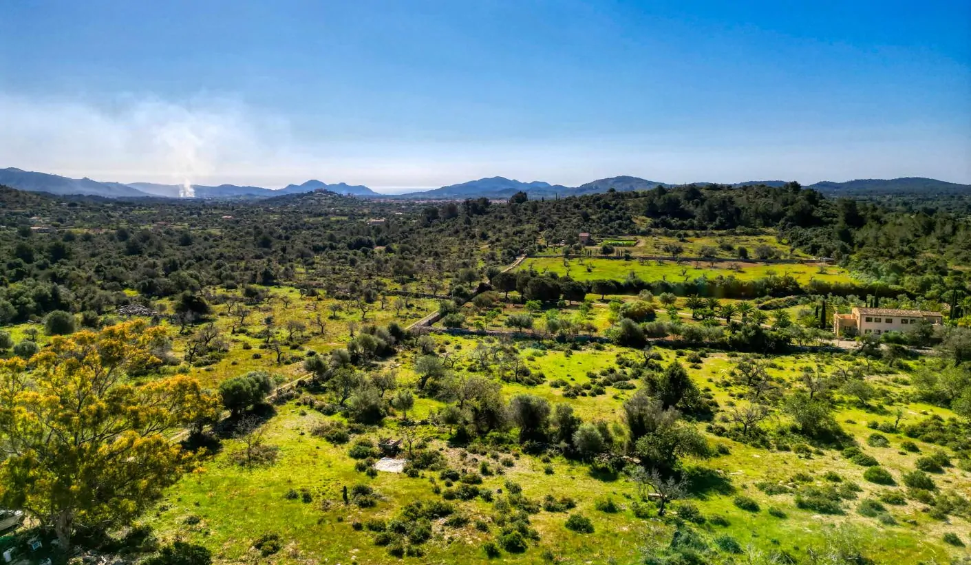 Grundstück-mit-Haus-in-Arta