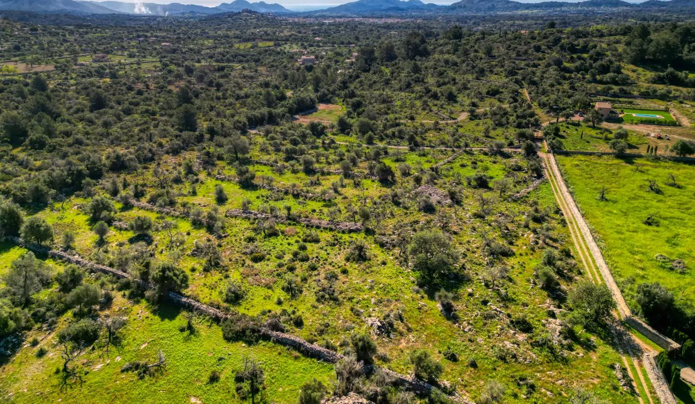 Grundstück-mit-Haus-in-Arta