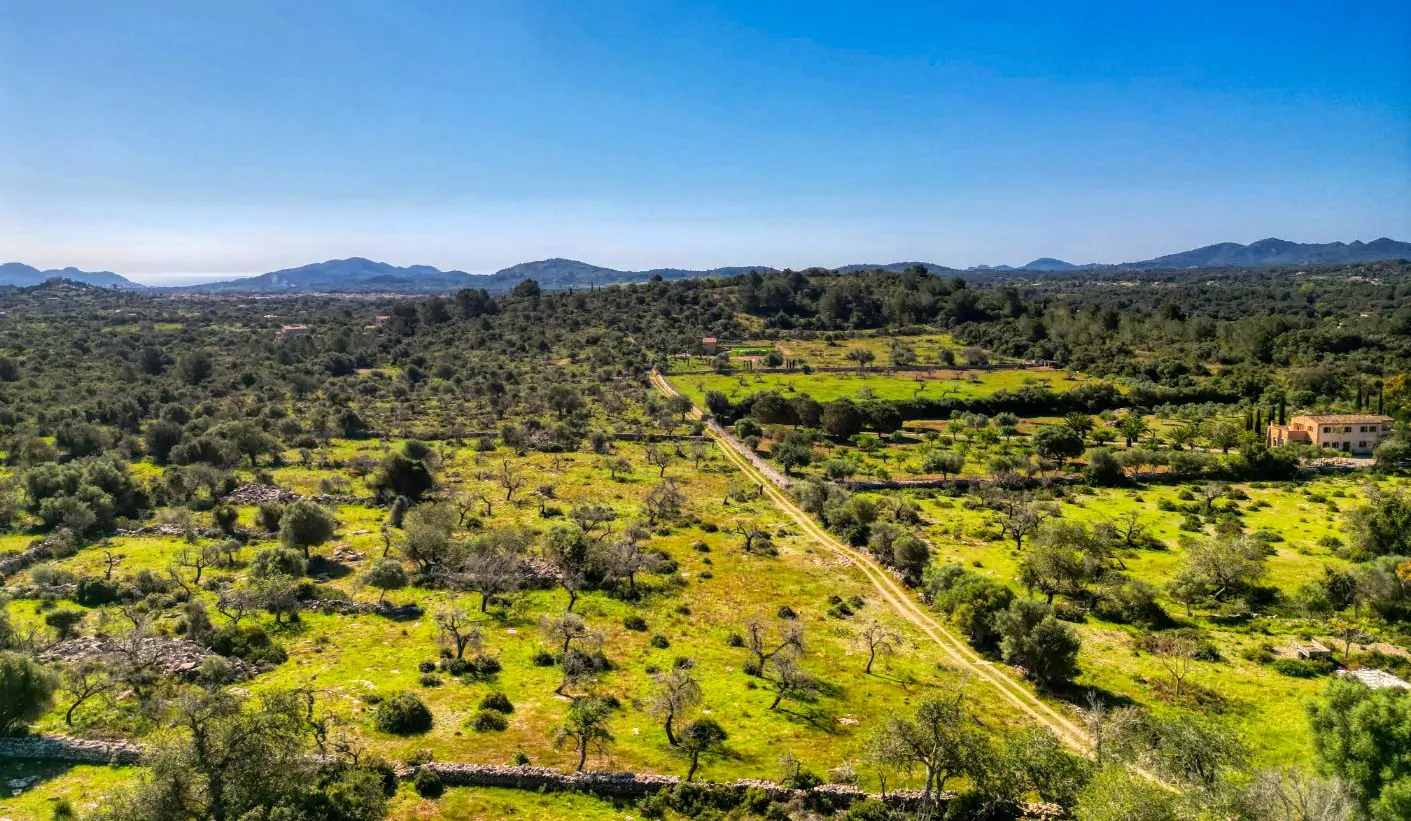 Grundstück-mit-Haus-in-Arta