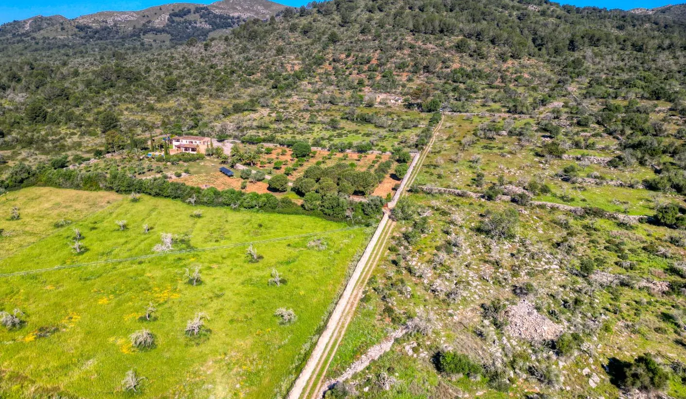 Grundstück-mit-Haus-in-Arta