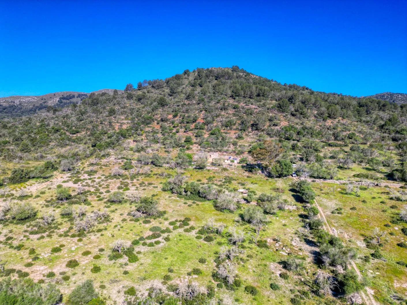 Plot-with-house-in-Arta