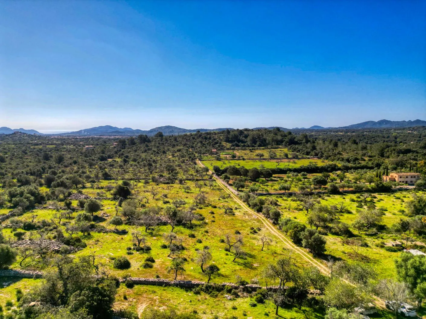 Plot-with-house-in-Arta