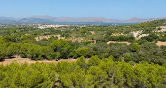 von_poll_real_estate_property_ES255314_image_29