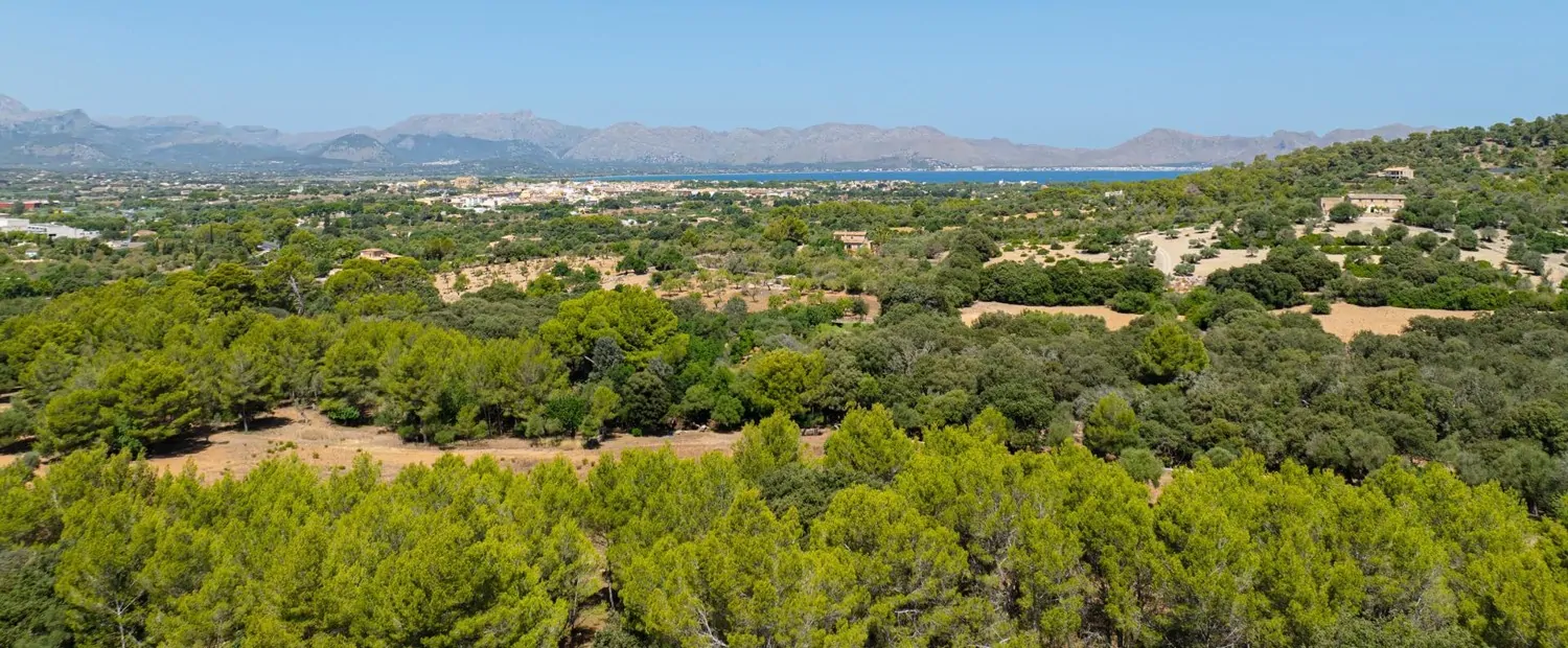 Exklusive-Villa-in-Alcudia