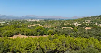 von_poll_real_estate_property_ES255314_image_89