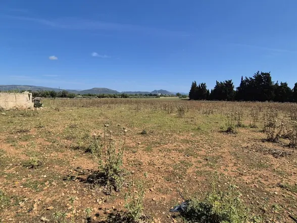 property-box