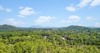 von_poll_real_estate_property_ES255393_image_28