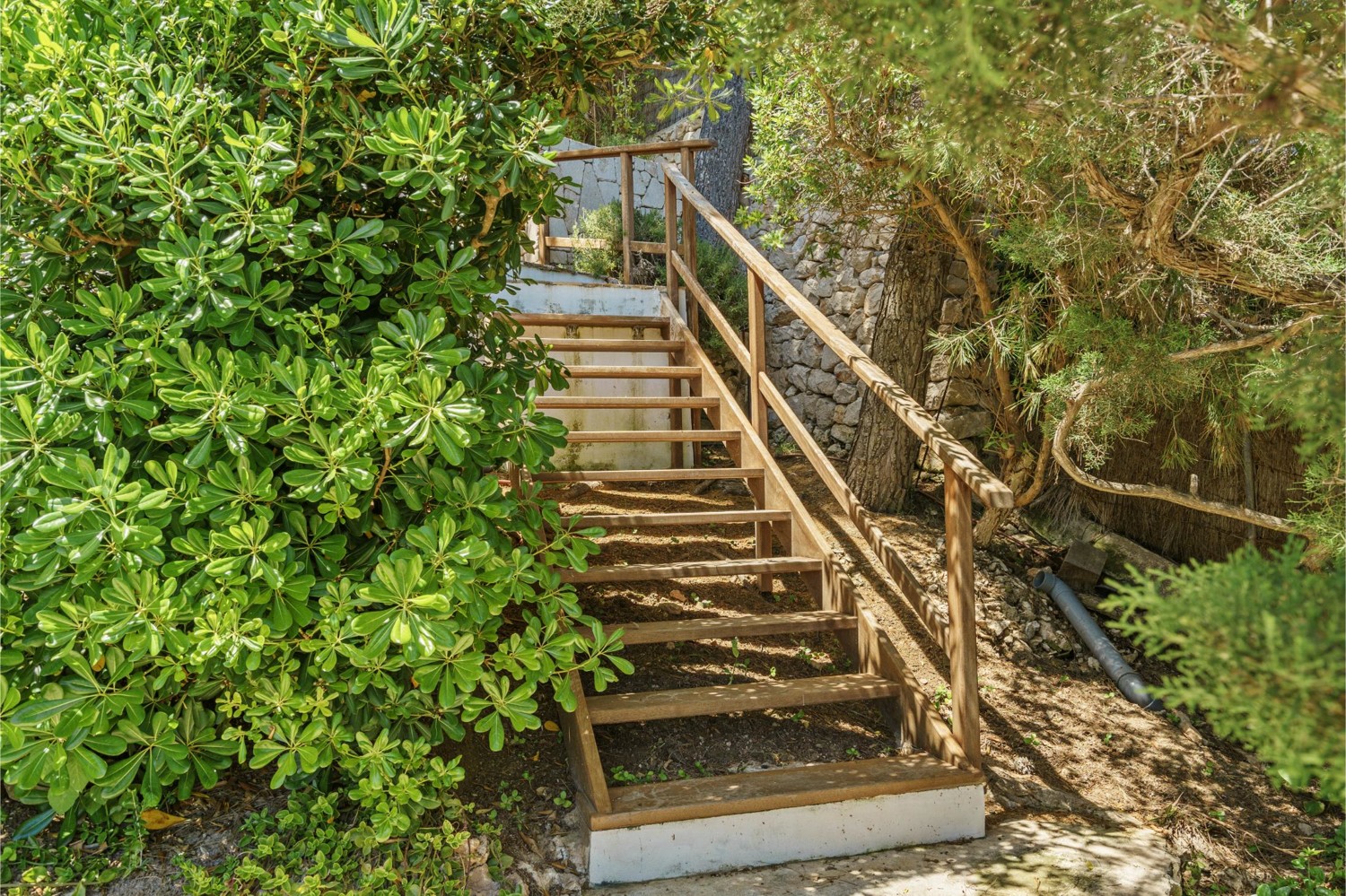 Villa-direkt-am-Meer-in-Cala-D'or