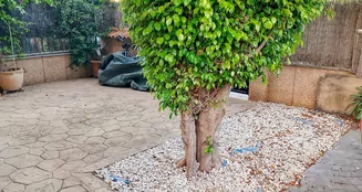 von_poll_real_estate_property_ES255535_image_17