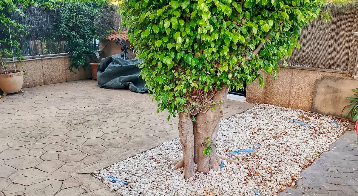 Zu-verkaufen-schöne-Doppelhaushälfte-mit-Schwimmbad-nur-wenige-Meter-vom-Strand-von-Alcudia