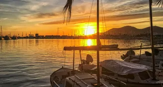 von_poll_real_estate_property_ES255535_image_19