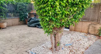 von_poll_real_estate_property_ES255535_image_37