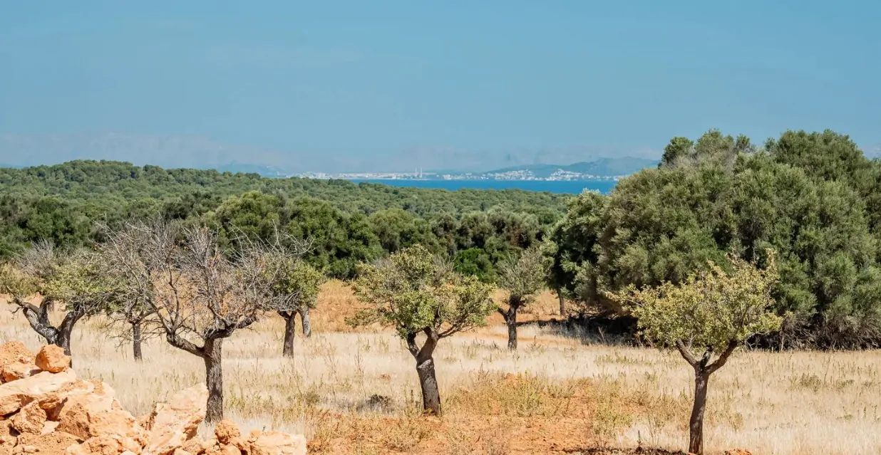 Captura de pantalla 2025-09-15 180405