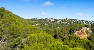 von_poll_real_estate_property_ES255653_image_23