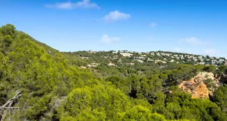 von_poll_real_estate_property_ES255653_image_71