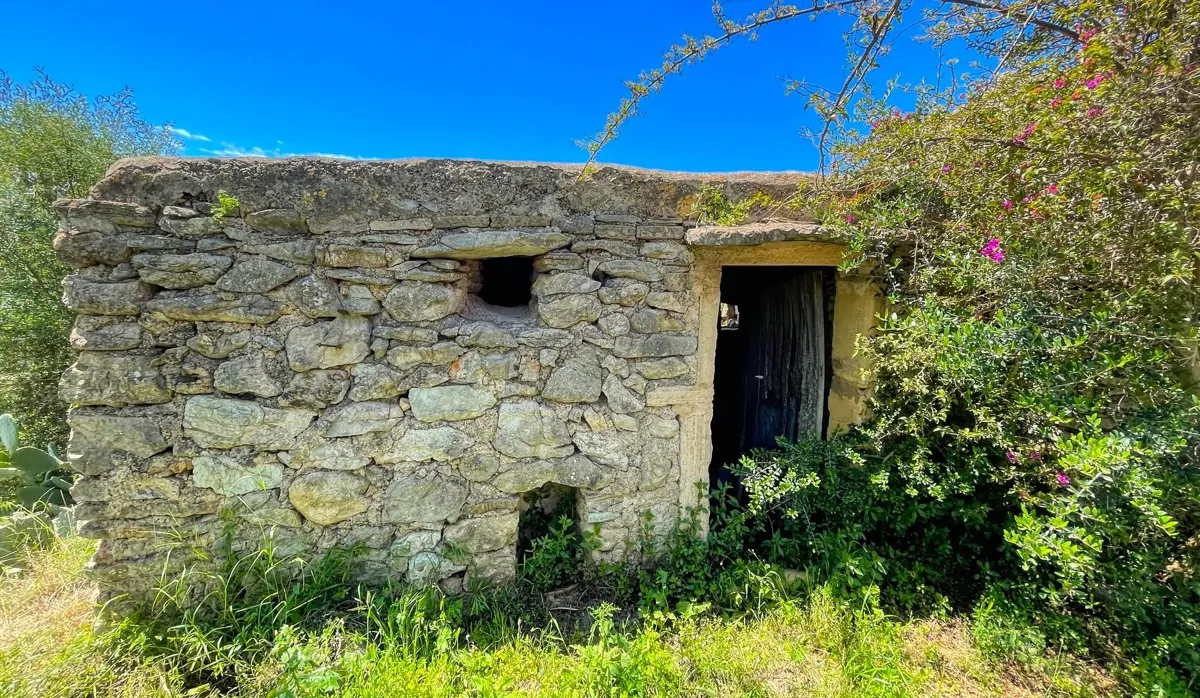 Finca-Rústica-auf-einem-großen-Grundstück-zur-Reform-in-Arta