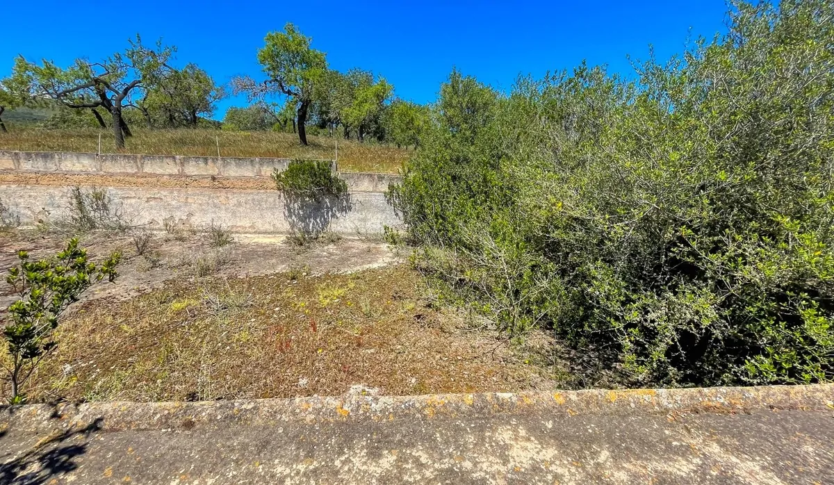 Finca-Rústica-auf-einem-großen-Grundstück-zur-Reform-in-Arta