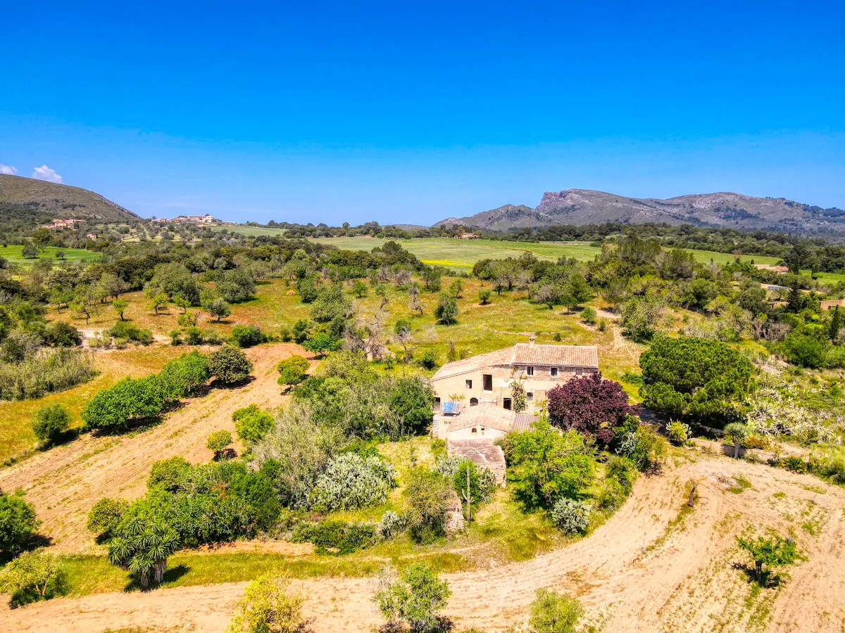 Finca-rústica-on-a-large-plot-to-reform-in-Arta