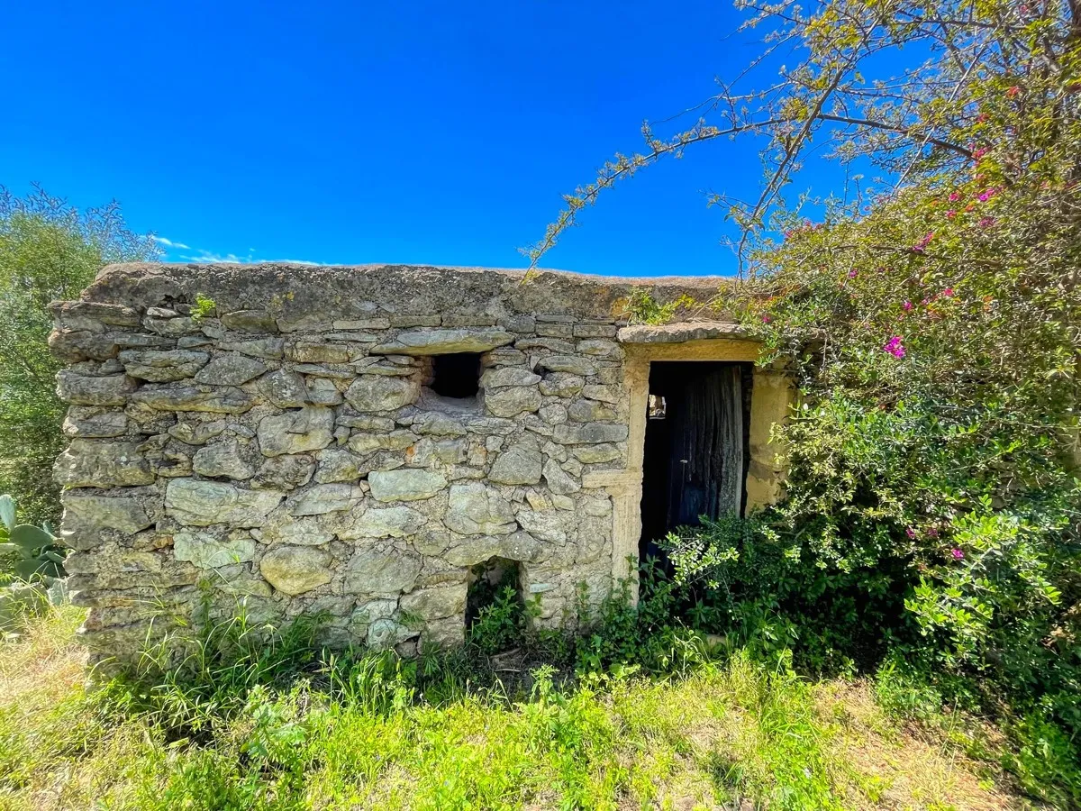 Finca-rústica-on-a-large-plot-to-reform-in-Arta