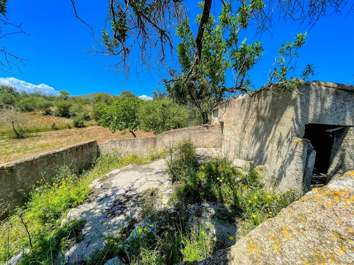 Finca-rústica-on-a-large-plot-to-reform-in-Arta