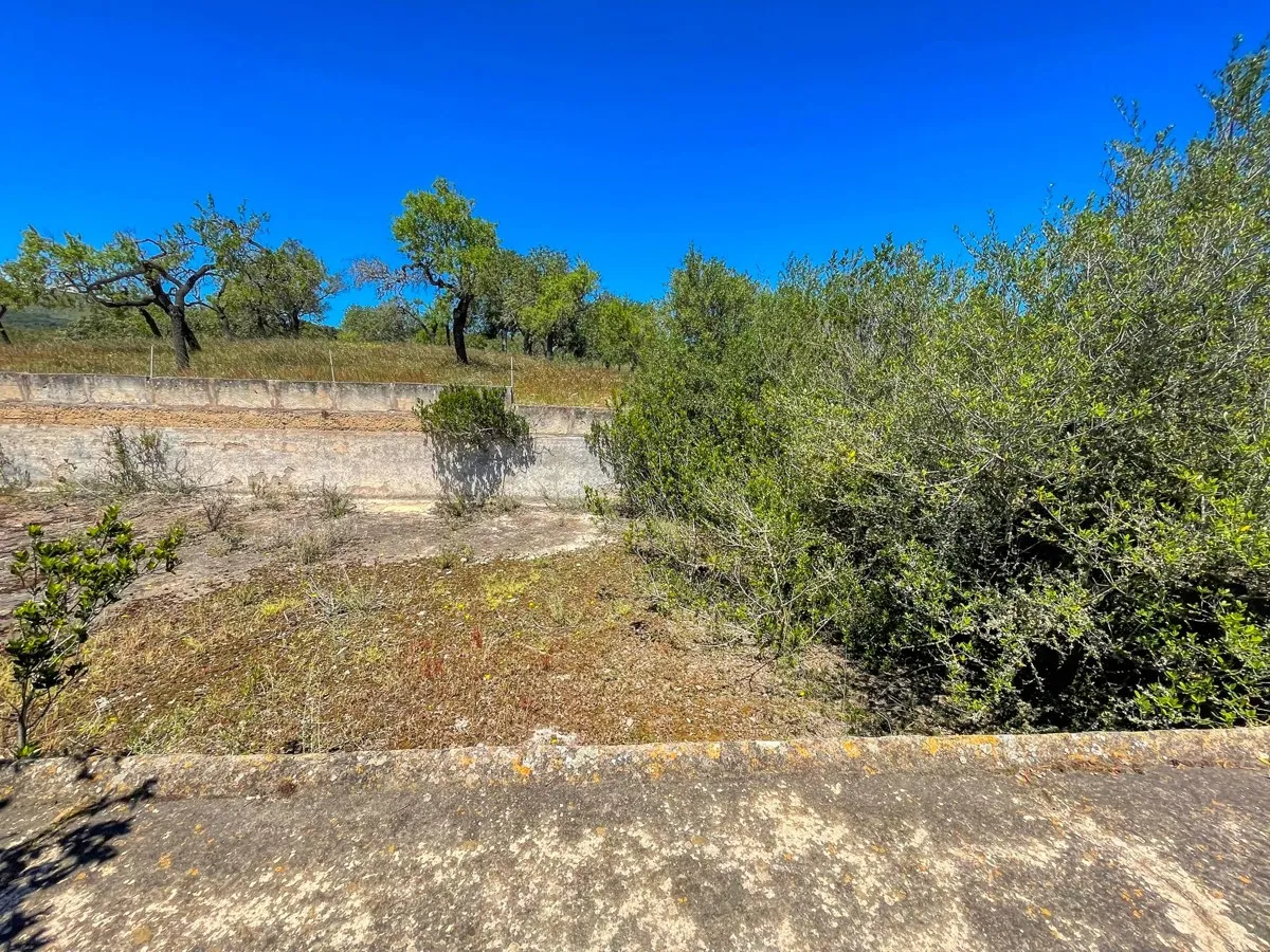 Finca-rústica-on-a-large-plot-to-reform-in-Arta