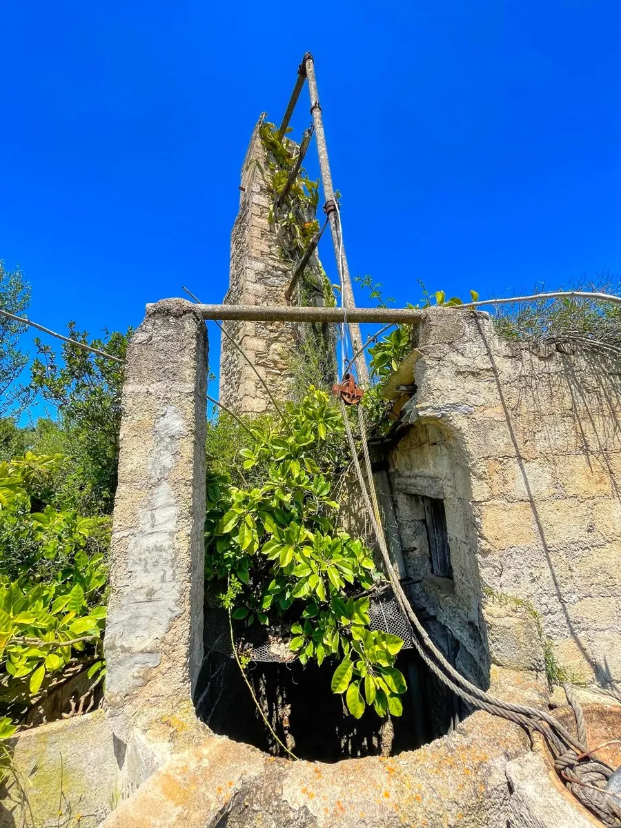 Finca-rústica-on-a-large-plot-to-reform-in-Arta