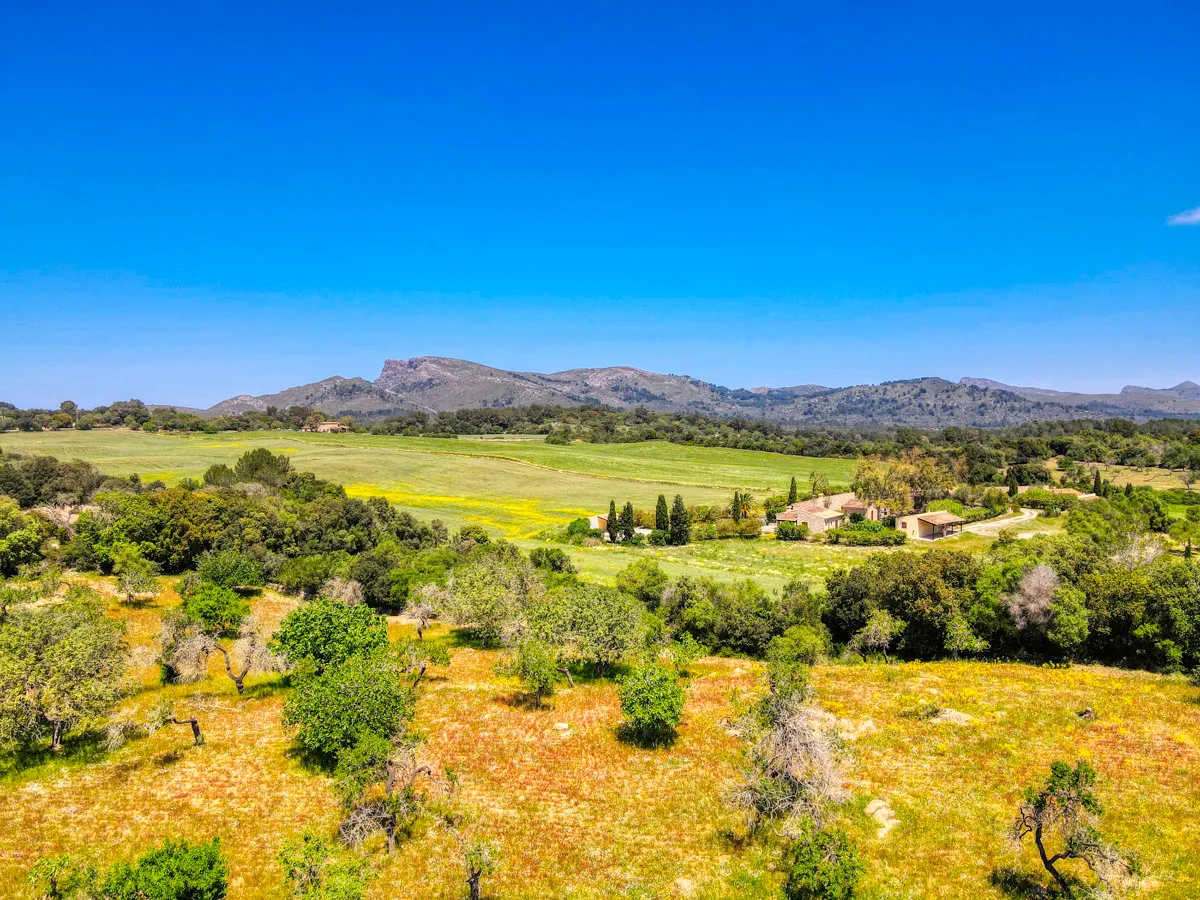 Finca-rústica-on-a-large-plot-to-reform-in-Arta